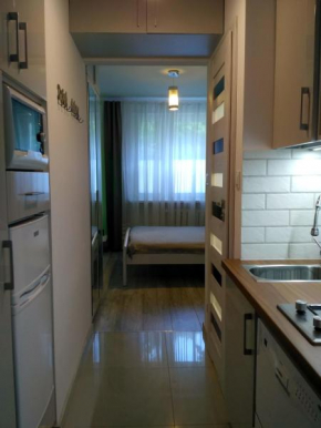 Apartament UnoPuro w centrum Giżycka